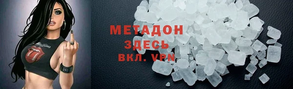 прущие грибы Абаза