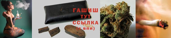 прущие грибы Абаза