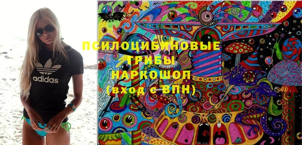 молекула духа Алексин