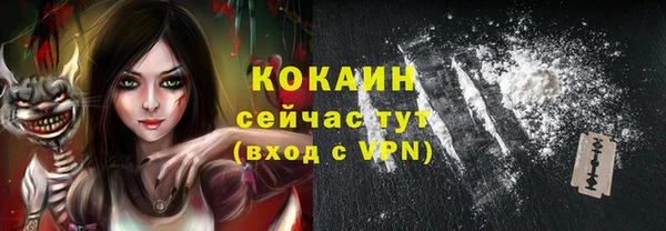 прущие грибы Абаза