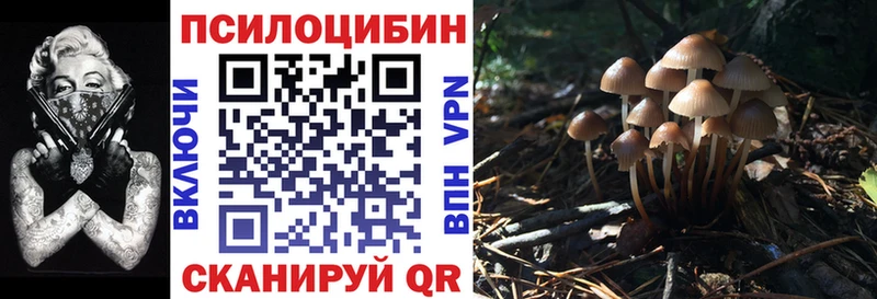 Галлюциногенные грибы мухоморы  OMG ТОР  Омск 