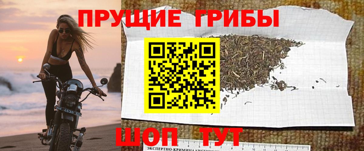 Псилоцибиновые грибы GOLDEN TEACHER  цены наркотик  Омск  Галлюциногенные грибы Psilocybine cubensis  Вход с VPN 